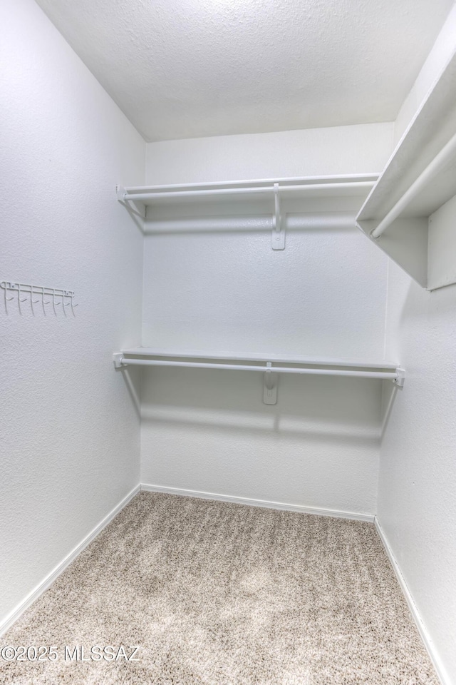 walk in closet featuring carpet flooring