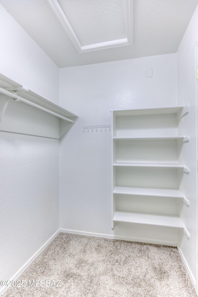 spacious closet with light colored carpet