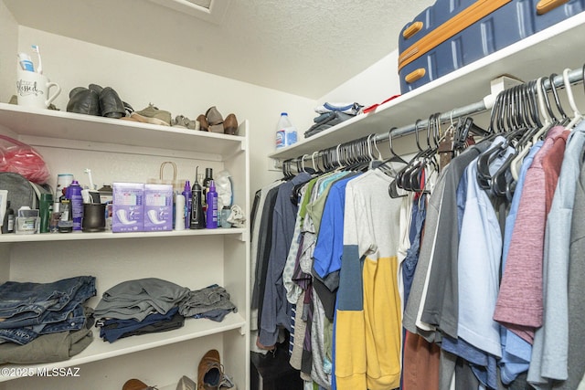view of walk in closet