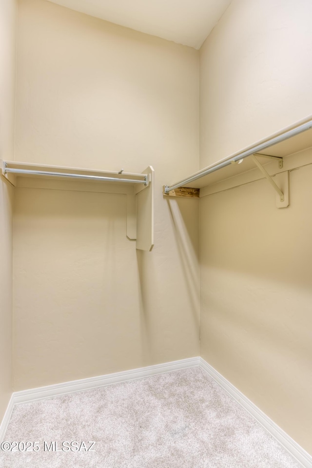 spacious closet with carpet floors