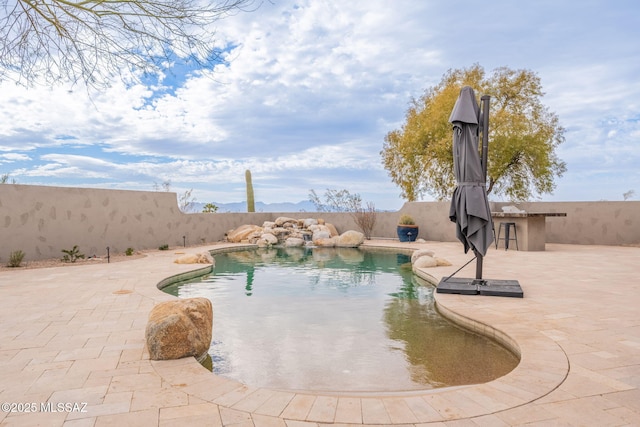 view of pool featuring a bar and a patio