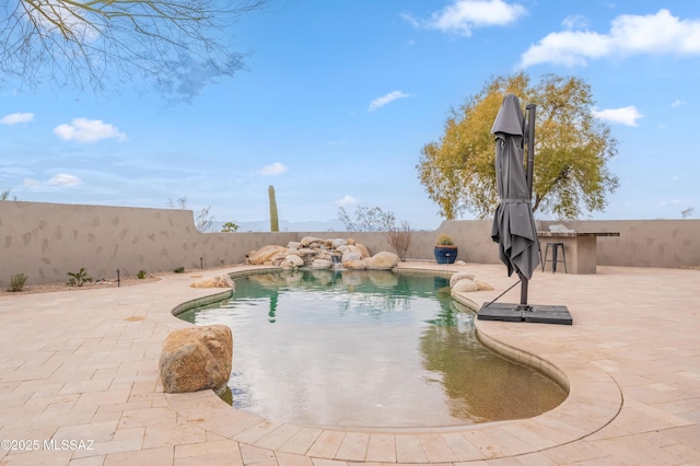 view of swimming pool with a patio and exterior bar