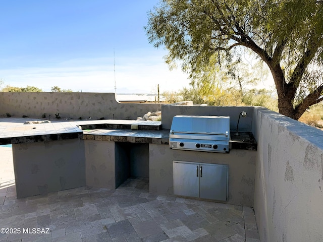 view of patio / terrace featuring area for grilling and grilling area