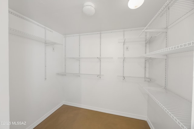 view of spacious closet