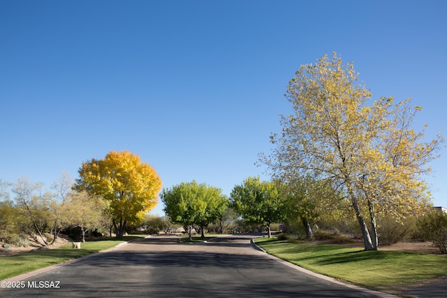 view of street featuring curbs