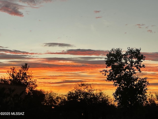 view of nature at dusk