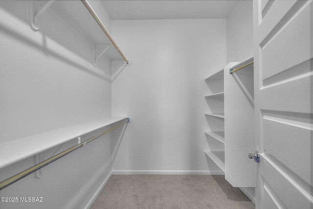 walk in closet with carpet floors