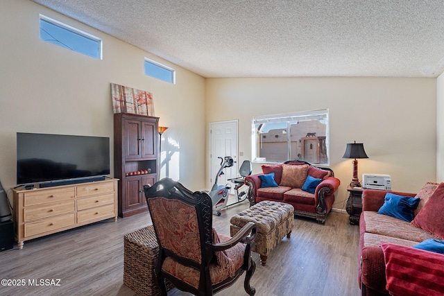 living room featuring wood-type flooring, vaulted ceiling, and a textured ceiling