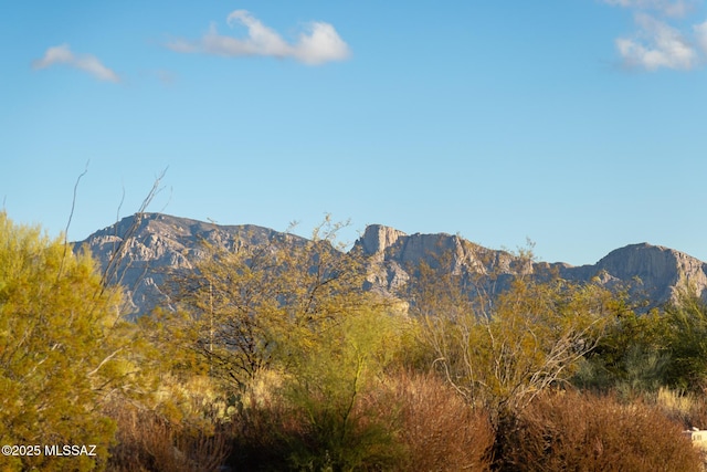 Listing photo 2 for 14191 N Giant Saguaro Pl, Oro Valley AZ 85755