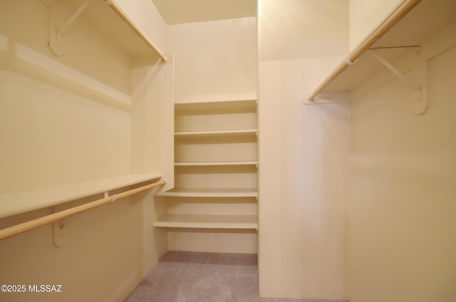 walk in closet with carpet