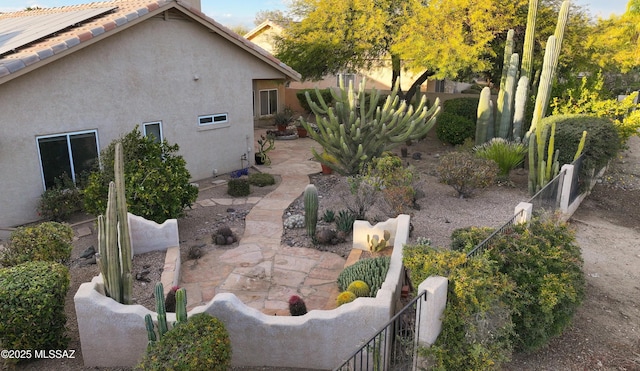 view of yard with a patio area