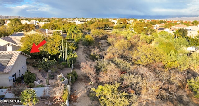 bird's eye view