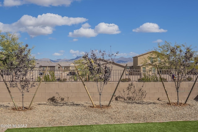 view of yard featuring a mountain view