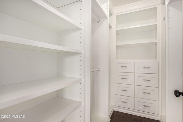 spacious closet featuring dark wood-type flooring