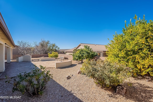 view of yard featuring a patio area