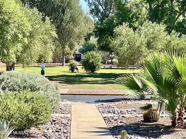 view of home's community featuring a lawn