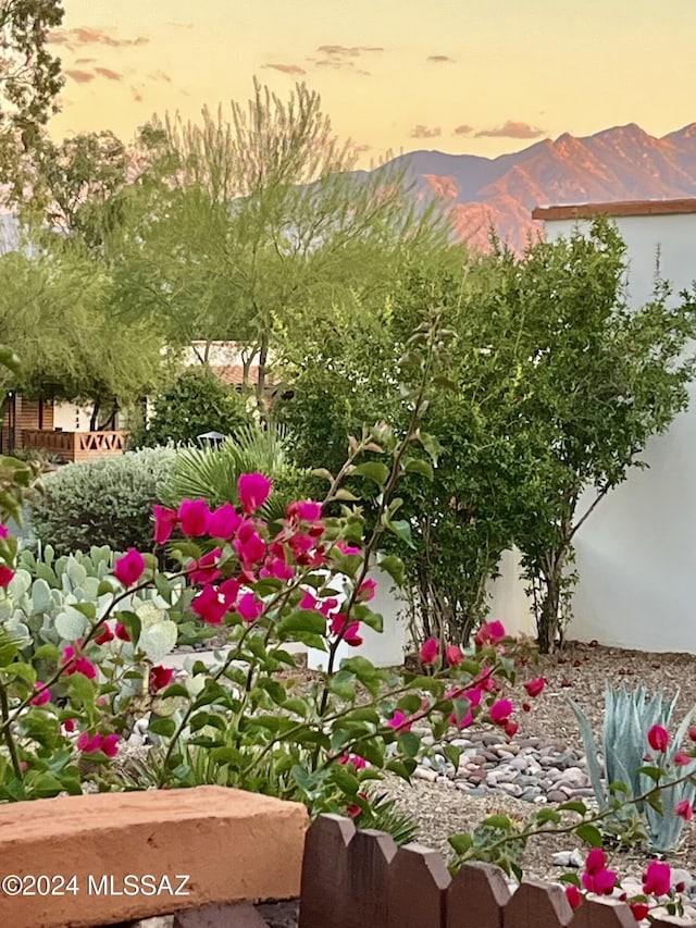 yard at dusk with a mountain view