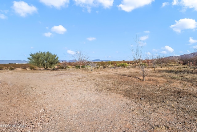 view of local wilderness with a rural view and a mountain view