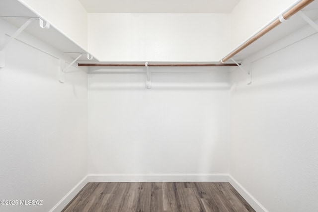 walk in closet featuring hardwood / wood-style floors