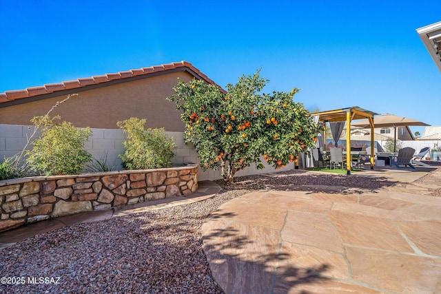 view of yard with a patio