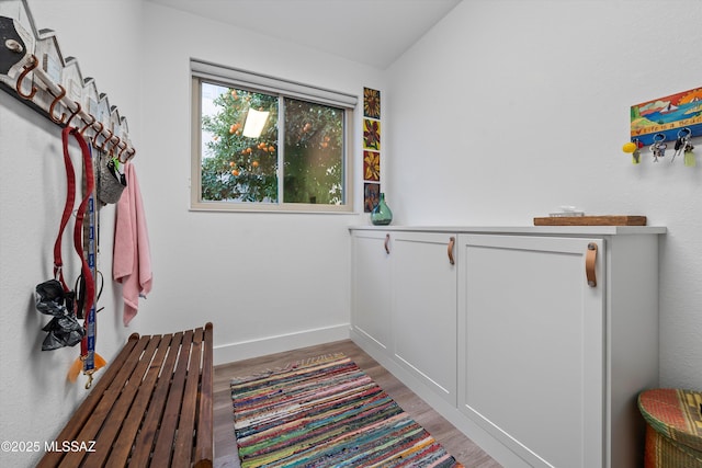 walk in closet featuring lofted ceiling and light wood-type flooring