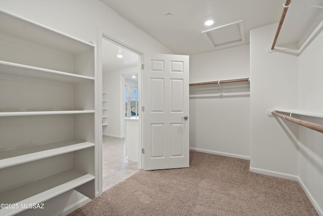 walk in closet featuring light colored carpet