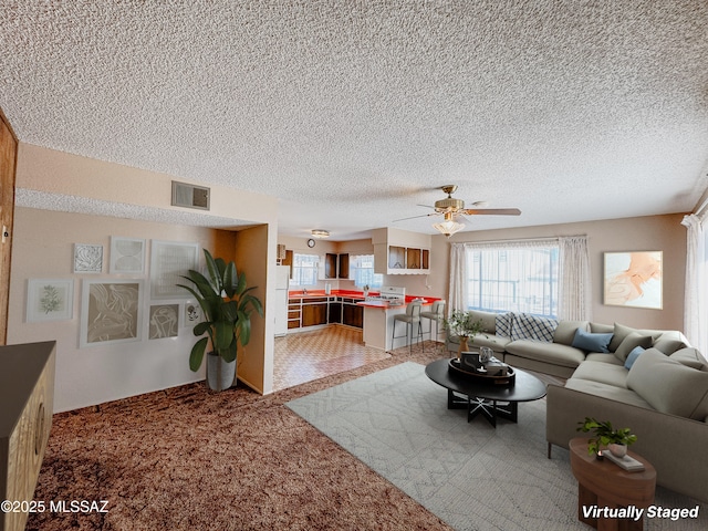281 E Walker St, Benson, AZ 85602 - living room featuring ceiling fan, carpet, and a textured ceiling