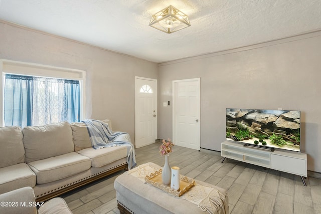 living room with light wood-type flooring and a textured ceiling