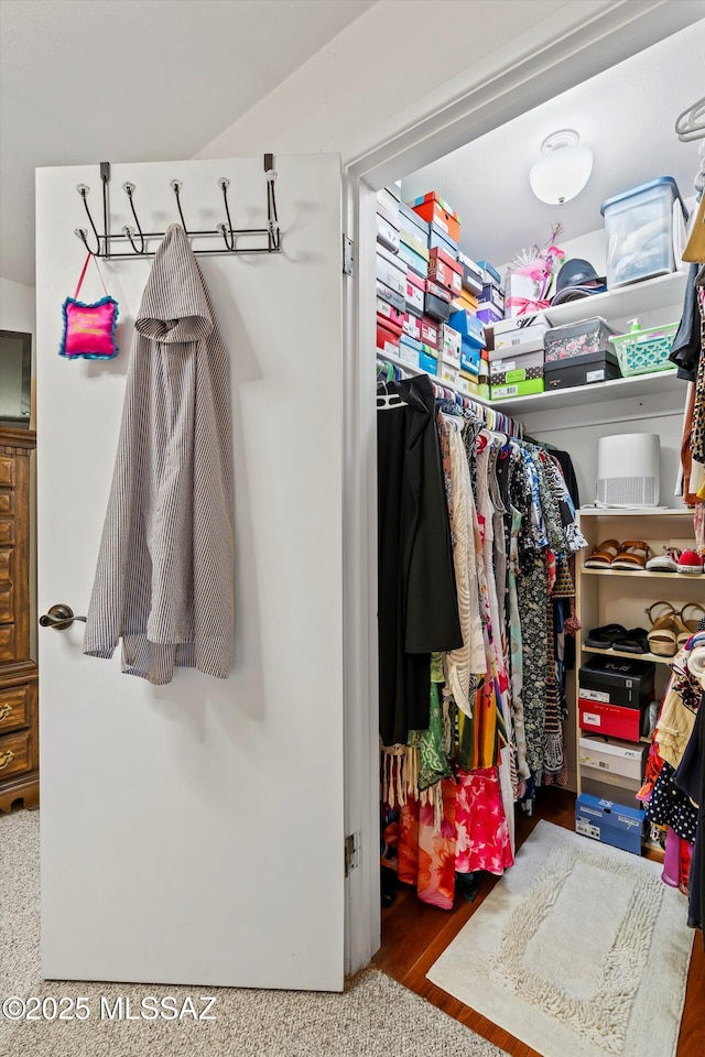 view of spacious closet