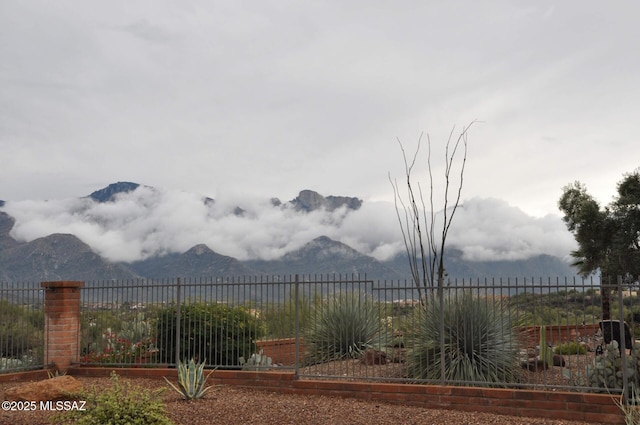 view of yard featuring a mountain view