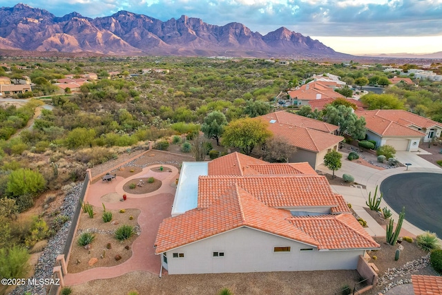 birds eye view of property with a mountain view