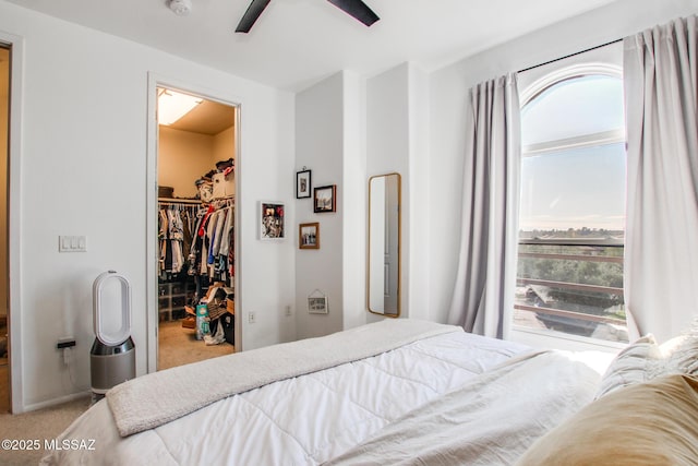 bedroom featuring a spacious closet, ceiling fan, carpet flooring, and a closet