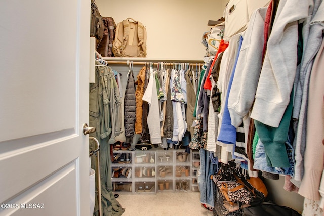 spacious closet with carpet flooring