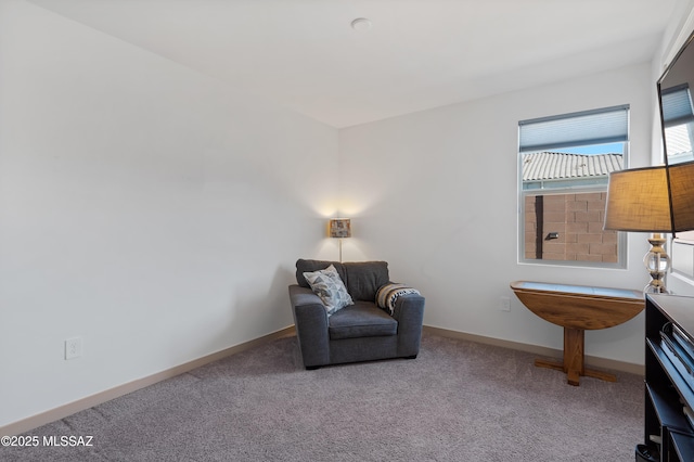 living area with carpet and baseboards