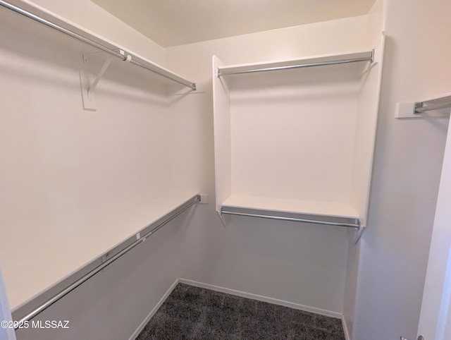 walk in closet with carpet