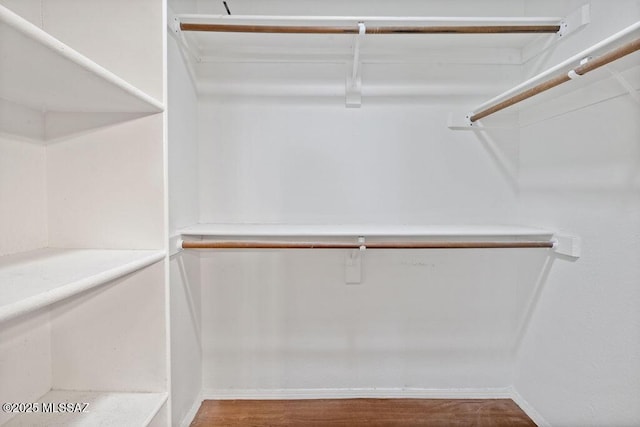 spacious closet featuring hardwood / wood-style floors