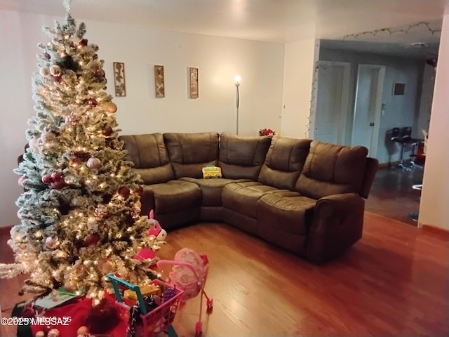 living room featuring wood-type flooring