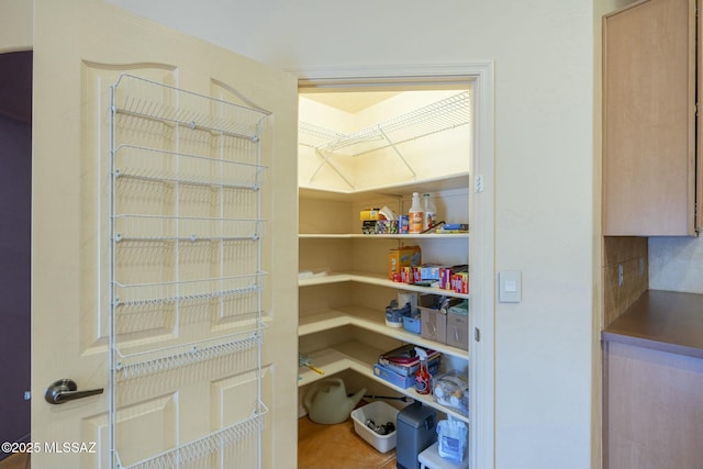 view of pantry