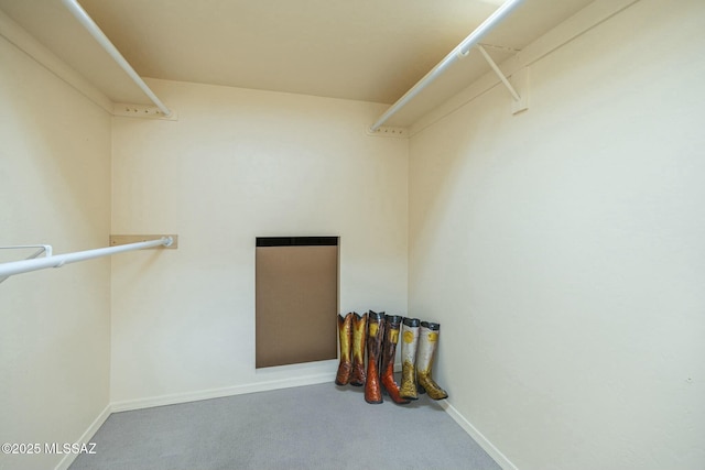 walk in closet with carpet floors