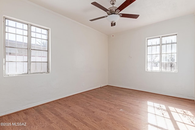 spare room featuring crown molding, ceiling fan, and light wood-type flooring