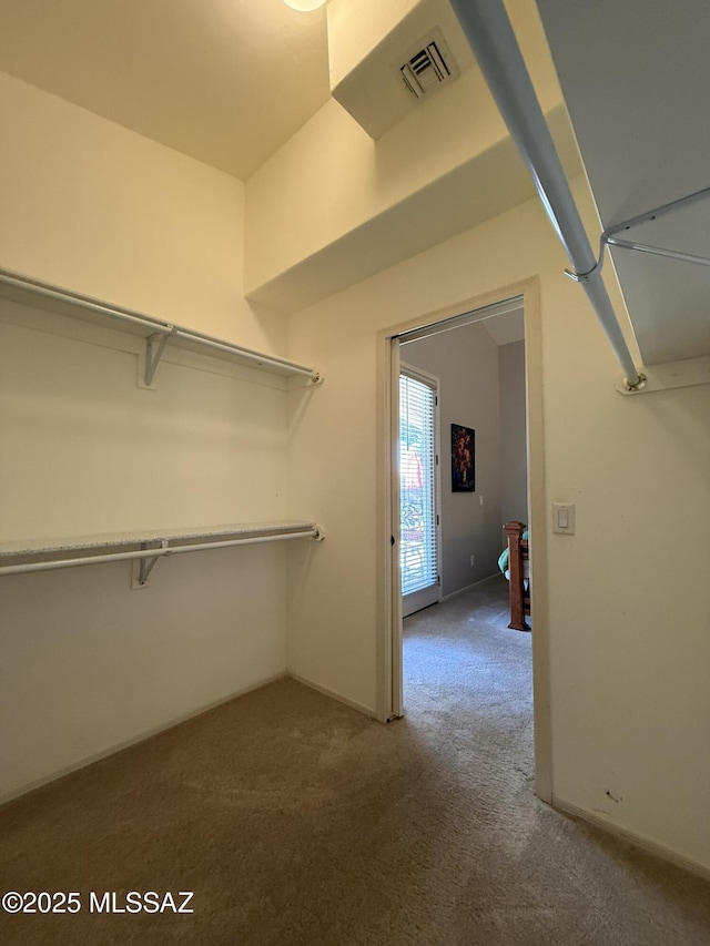 walk in closet with carpet