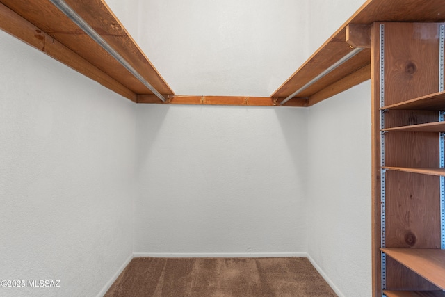 spacious closet with carpet