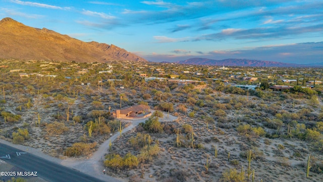 birds eye view of property with a mountain view