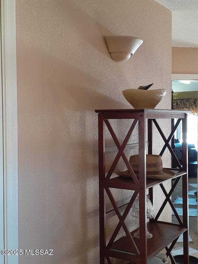 2578 W Mystic Mountain Dr, Tucson, AZ 85742 - detailed view of a textured wall
