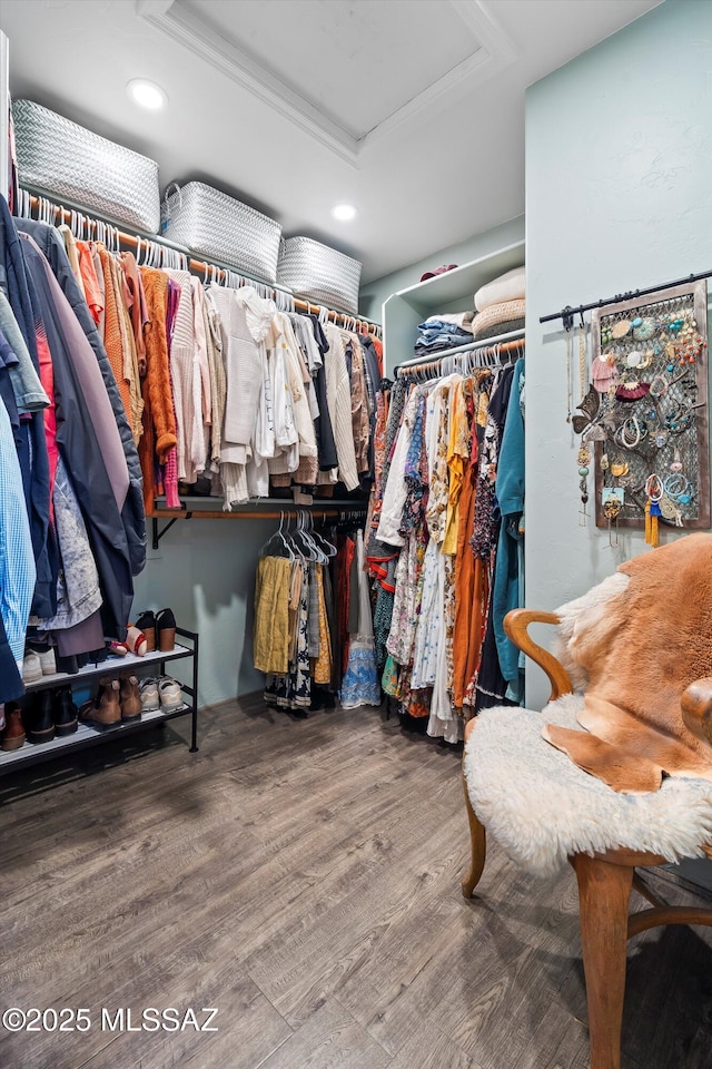 spacious closet featuring a raised ceiling and hardwood / wood-style flooring