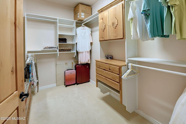 spacious closet with light carpet