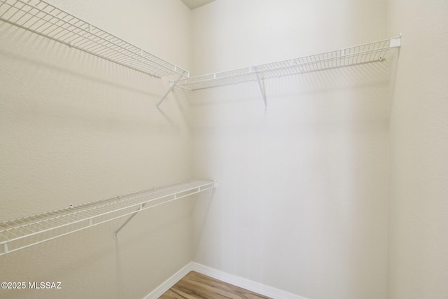 spacious closet featuring wood-type flooring