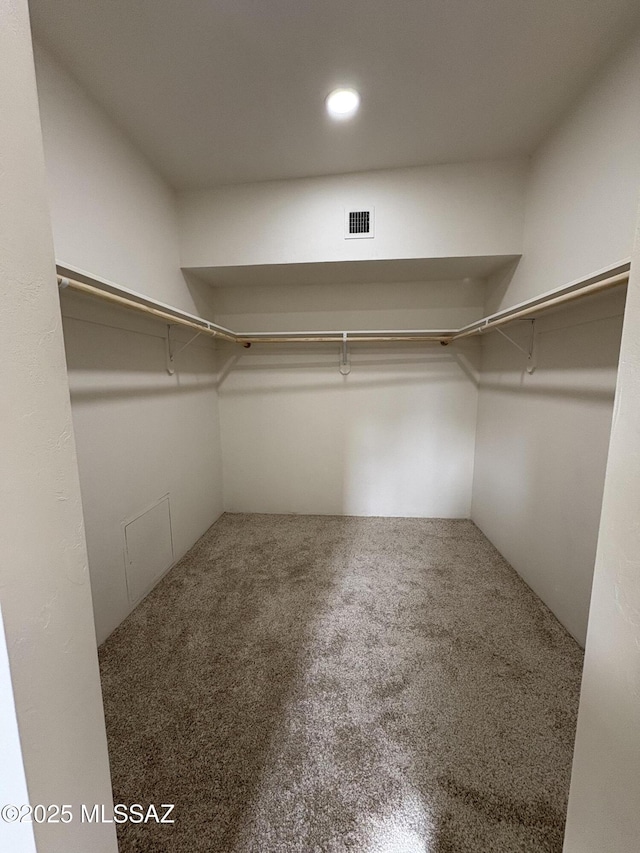 spacious closet with carpet