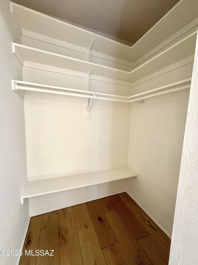 walk in closet with wood-type flooring