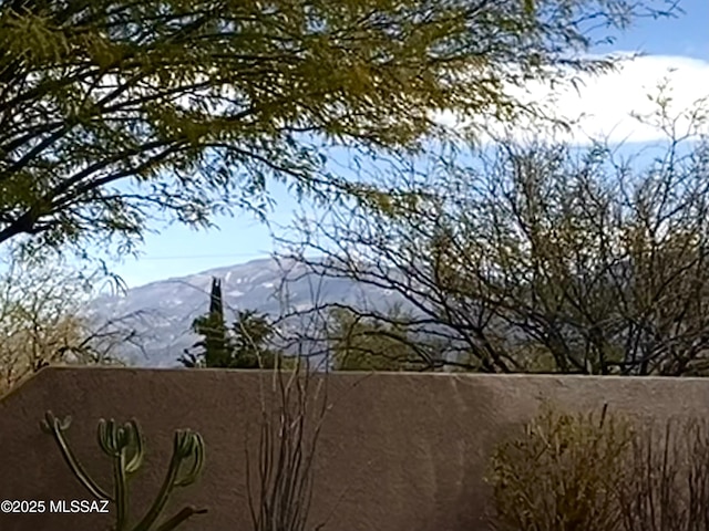 property view of mountains